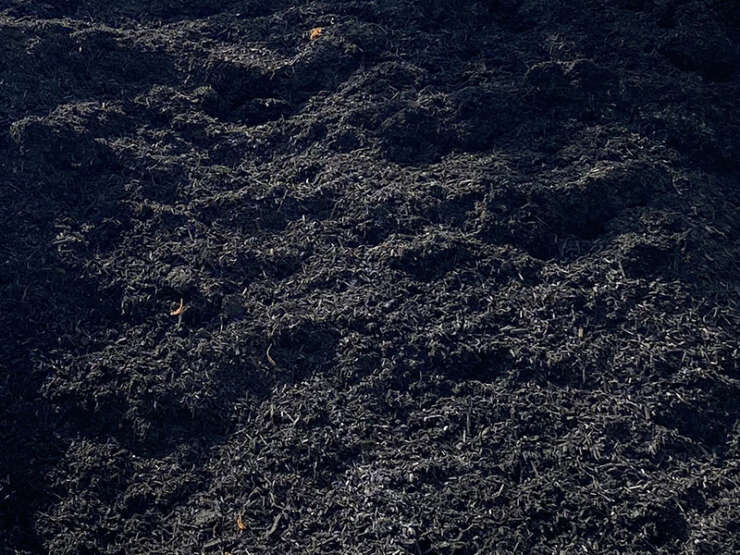 A closeup look of black mulch.